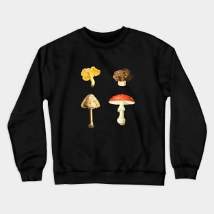 Autumn Mushrooms - 4 Vintage Mushroom Illustrations Crewneck Sweatshirt